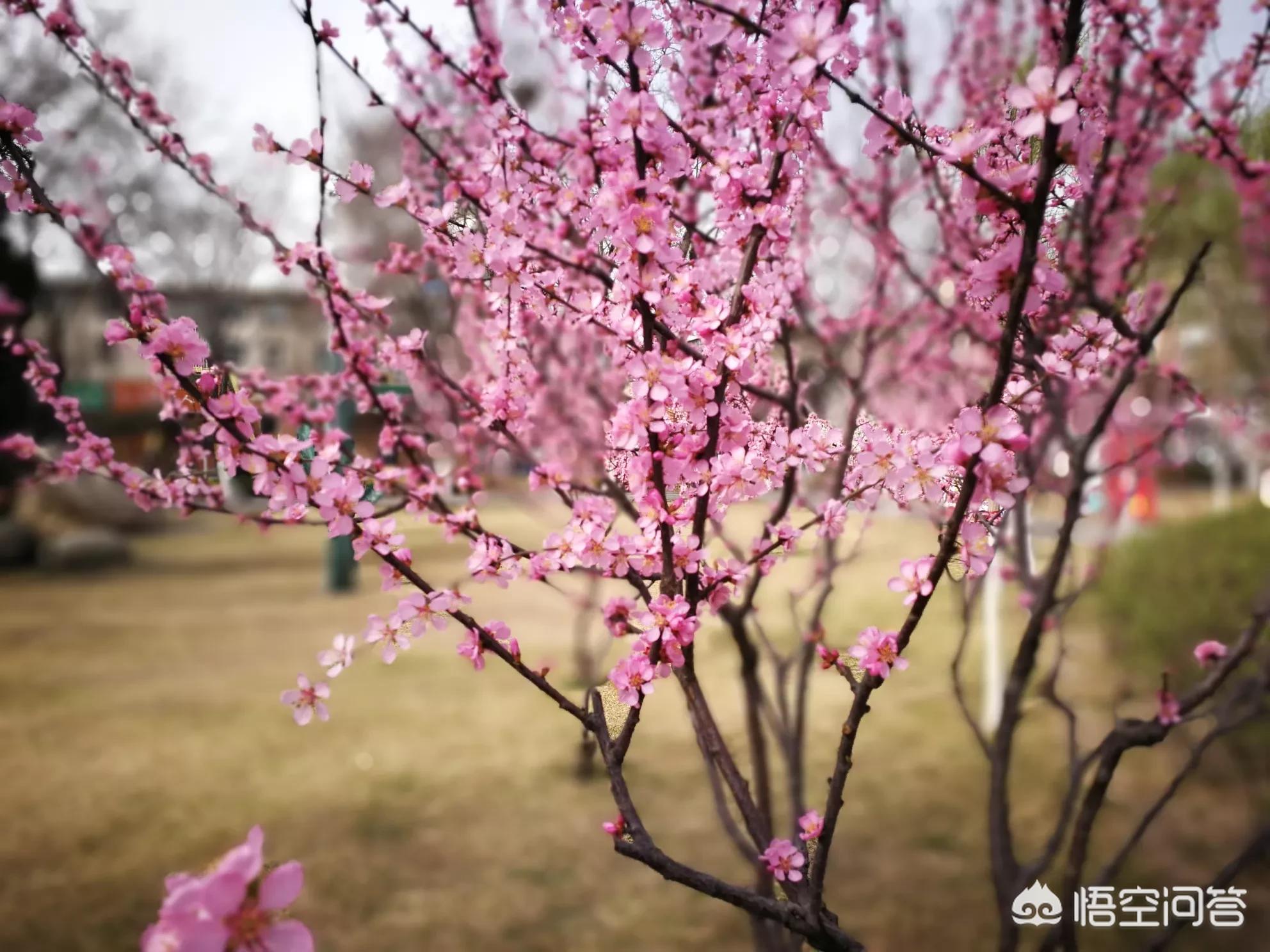 今日特码科普！91久久电影网,百科词条爱好_2024最快更新